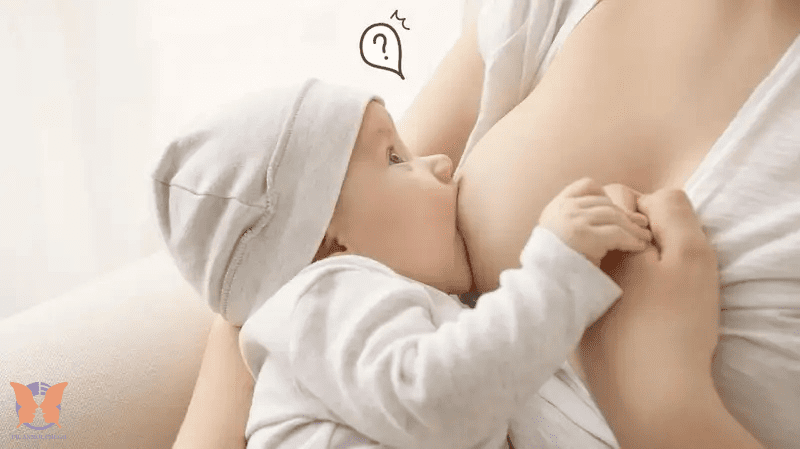 Breastfeeding Effects