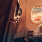 5 Key Things to Consider Before Traveling Abroad for Cosmetic Surgery